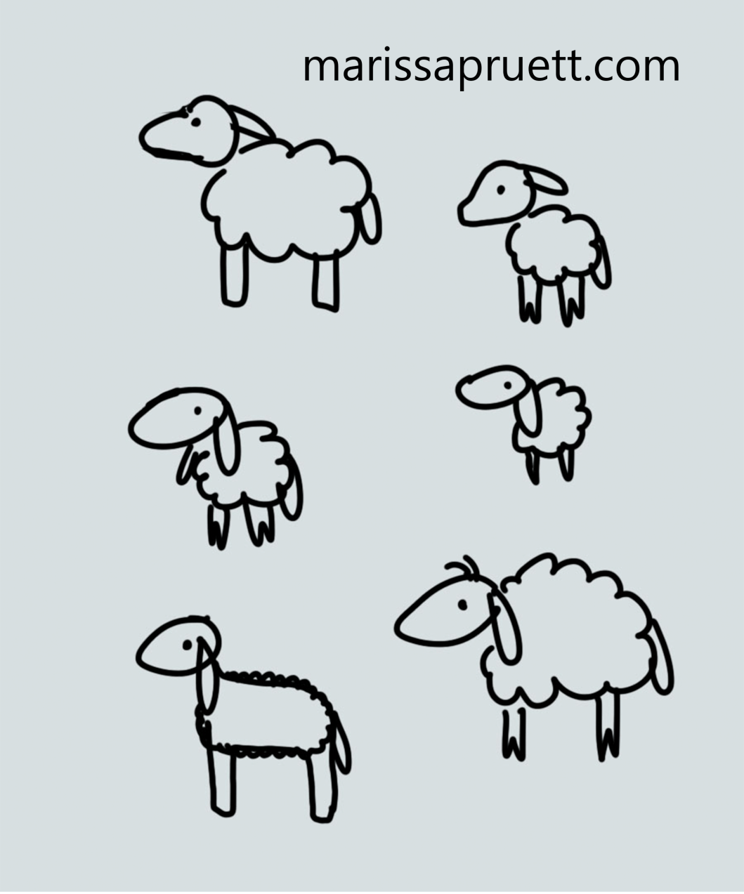 Shlomo sheep