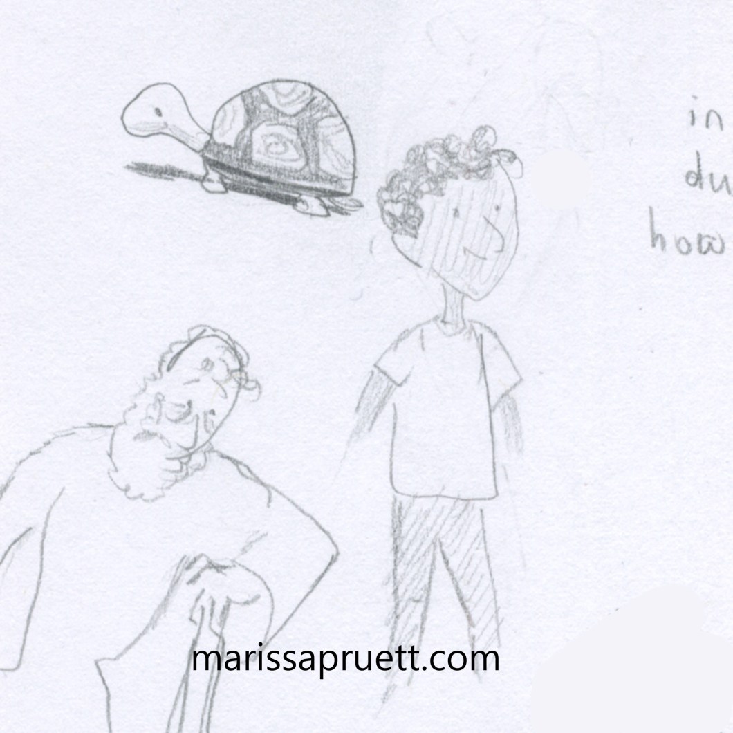 turtle a boy and old man