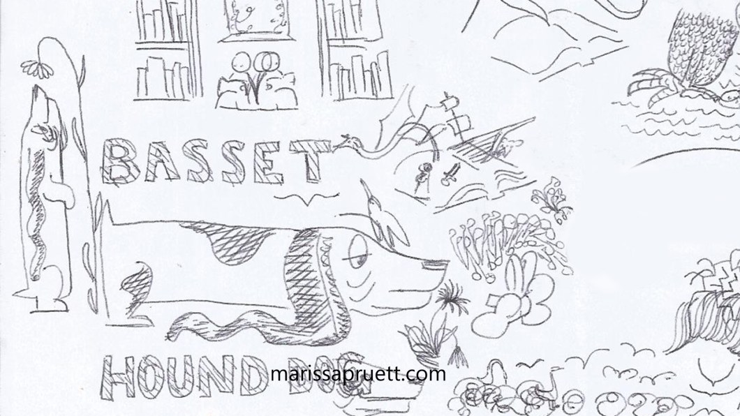 bassetthoundsketches